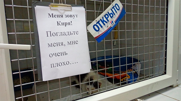 ����: vk.com/club40530389